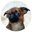 Edna the Runt logo